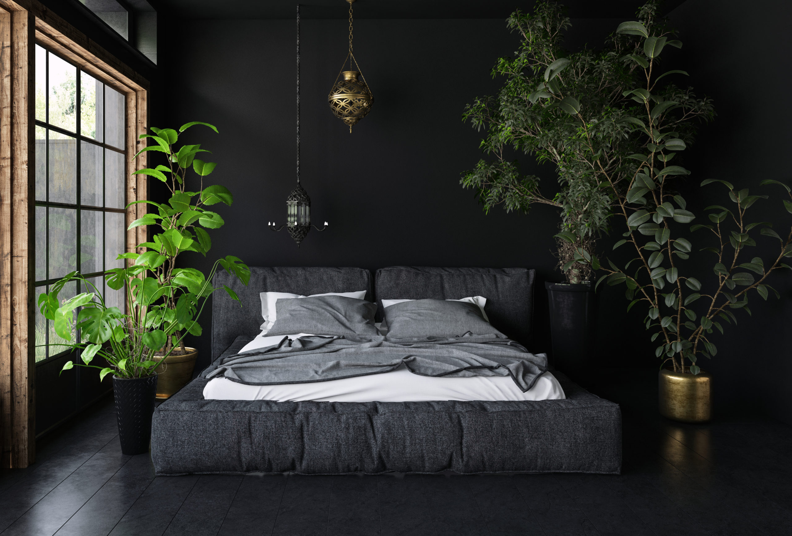 Kingsize seng i mørkt rom med inneplanter