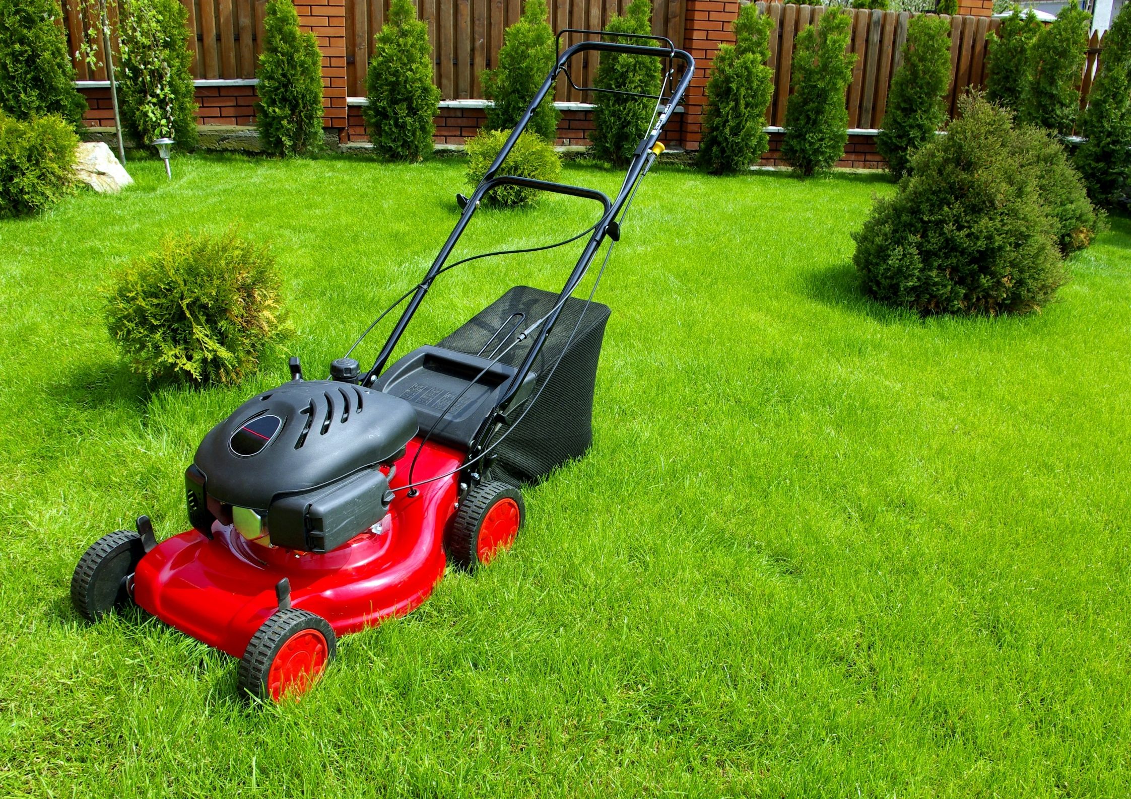 The lawn mower 5.0 ultra. Газонокосилки. Газонокосилка на газоне. Стрижка газона. Роторная газонокосилка.