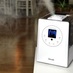 Levoit 600 Hybrid Test