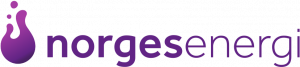 NorgesEnergi Logo