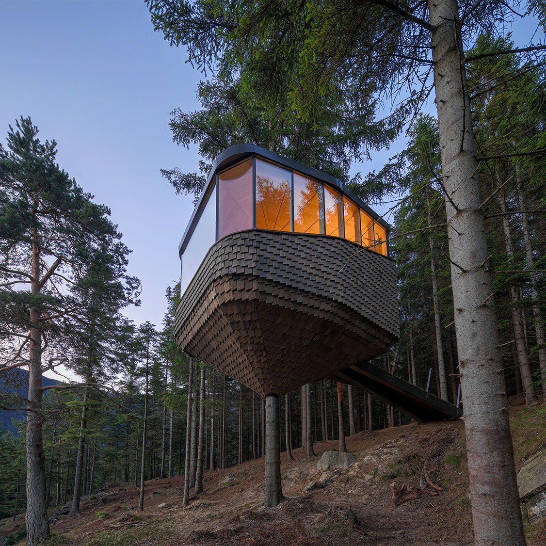 Woodnest Tretopphytte